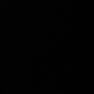 Meet your Posher, Jayla